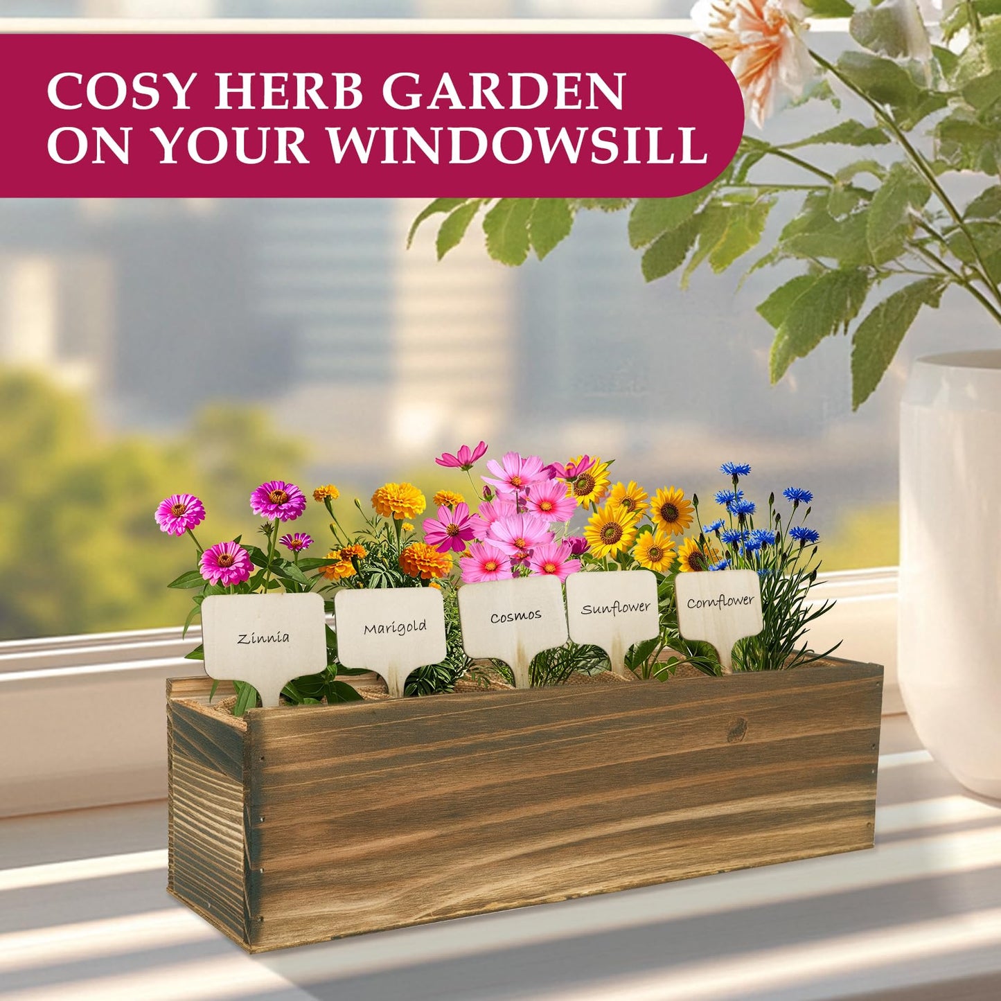 5 Indoor Flowers Growing Kit for Beginners, Complete Planting Starter Set with Zinnia, Cosmos, Sunflower, Marigold, Cornflower Seeds, Unique Gardening Gifts for Women & Men