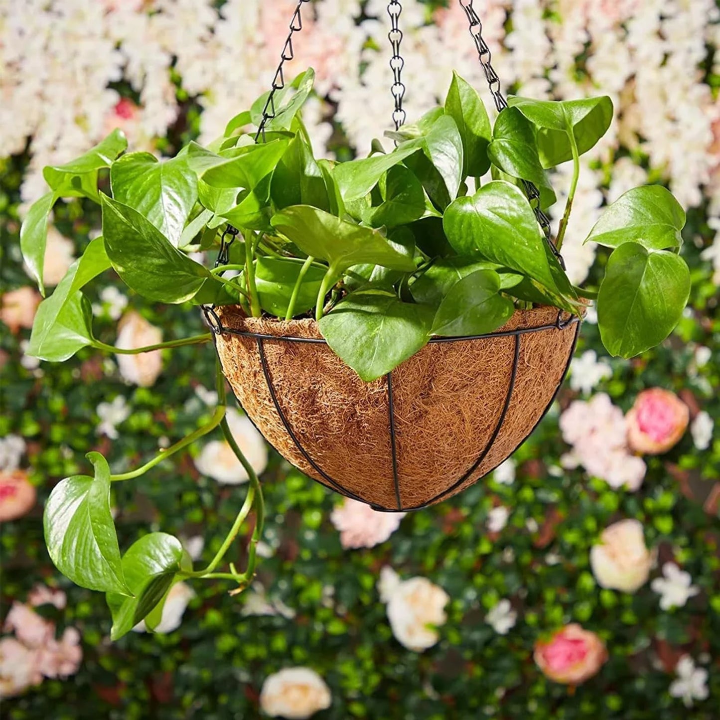 LCHUANG Hanging Baskets Planter for Plants - 2 Pack 10 Inch Metal Baskets with Coco Coir Liner, Hanging Flower Pots for Outside with Chain, Indoor Outdoor Garden Porch Decoration (10'' Pack of 2)