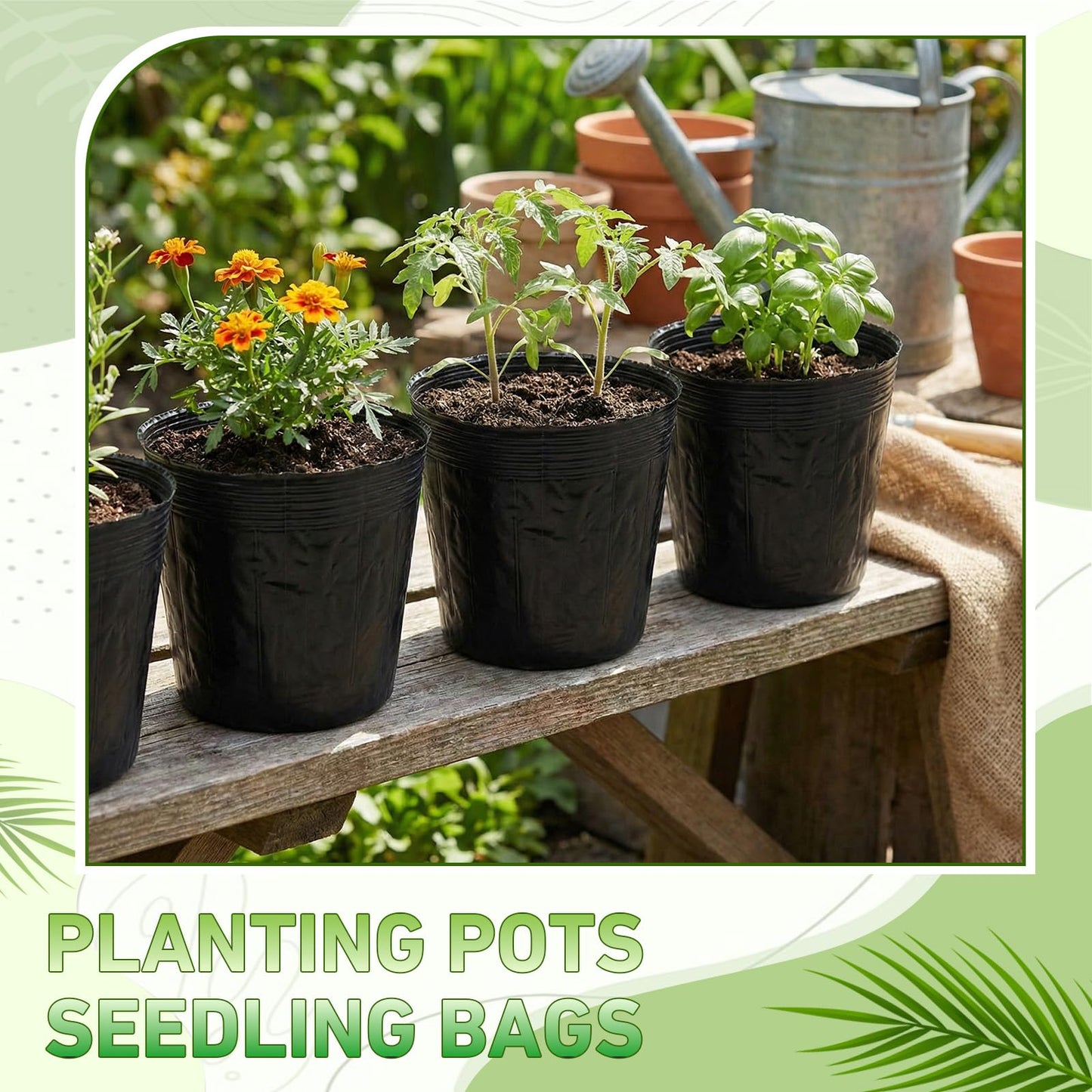 Ferrochef 60 Pcs Nursery Bags 0.2 & 0.6 & 2 & 3 Gallon Thicken Soft Plastic Seedling Pots Seed Plant Bags with Drainage Holes for Large Flowers Trees Vegetables Indoor Outdoor Women Gardening Gifts