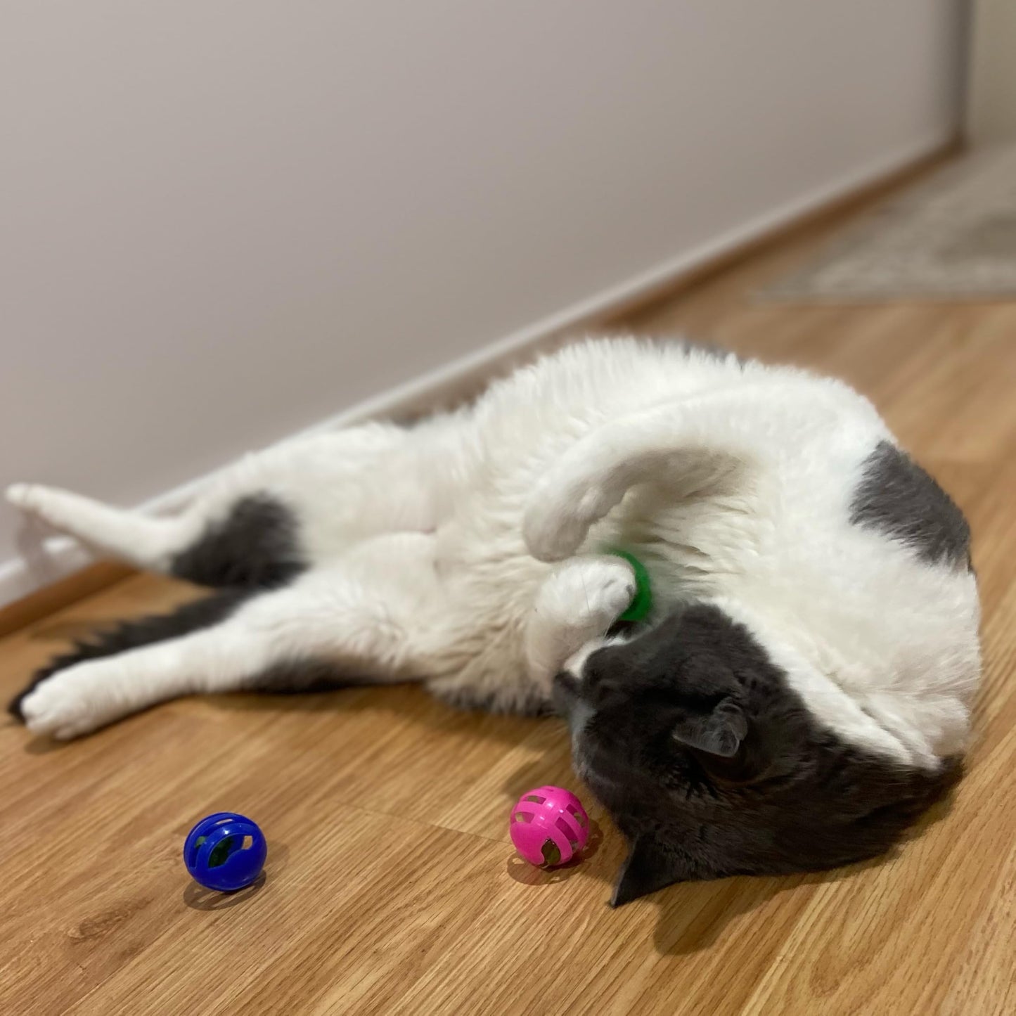 SPOT Slotted Balls Cat Toy - Interactive Cat Toys for Indoor Cats to Chase, Hunt and Stimulate - Jingle Bell Inside for Sound When Batted Around - Safe and Non-Toxic - 1.5" Assorted 4-Pack