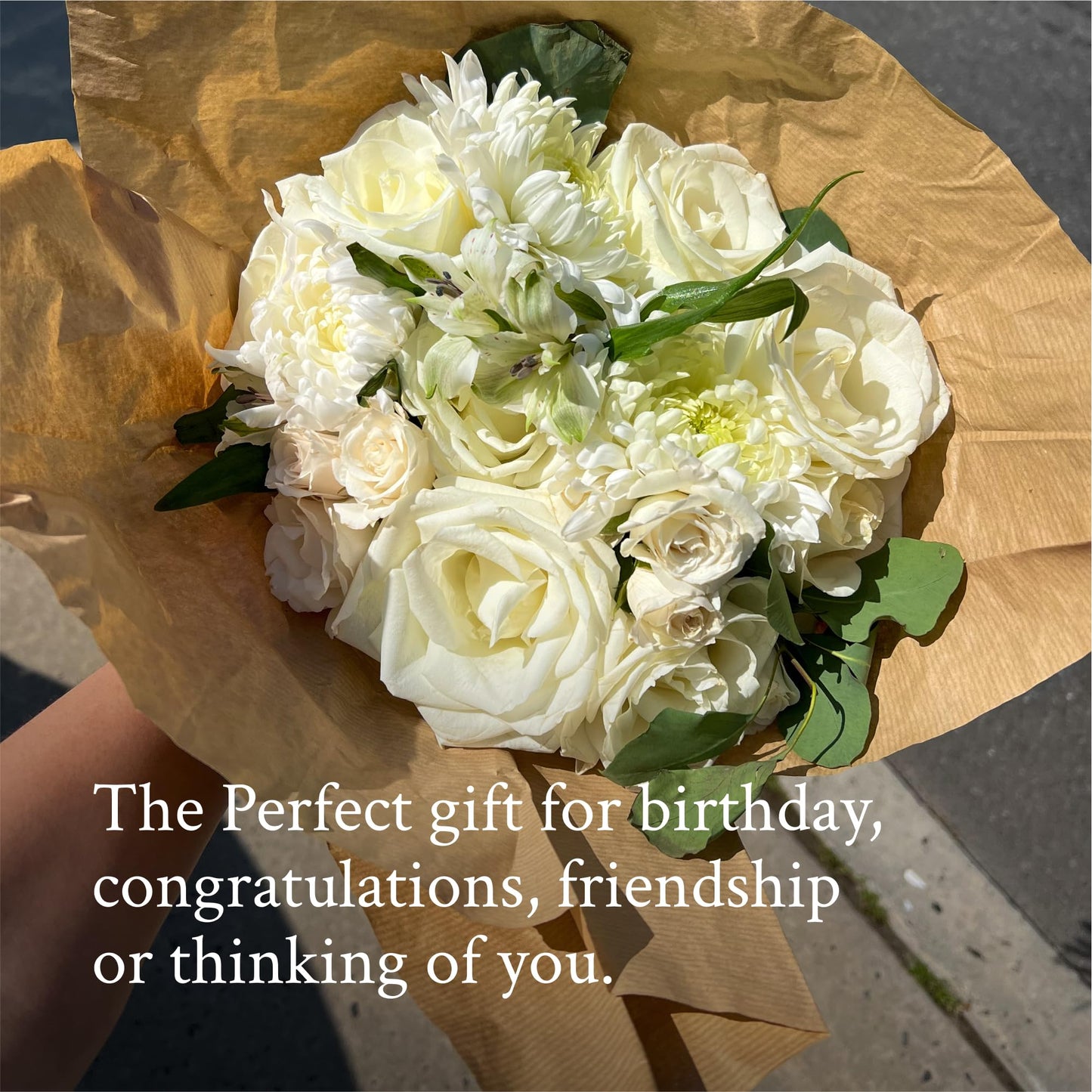 UrbanStems – The Dove Bouquet (No Vase) – Fresh Flowers for Delivery – Gift for Birthday, Thank You, Sympathy, Thinking of You, Friendship