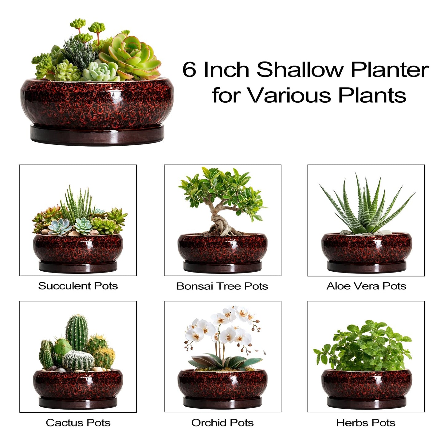 EPFamily Succulent Planters 6 Inch - Ceramic Bonsai Pots with Drainage Hole and Saucer, Small Bonsai Planter, Round Planter Bowl, Shallow Plant Pots Indoor, Room Decor, Gifts for Plant Lovers, Red