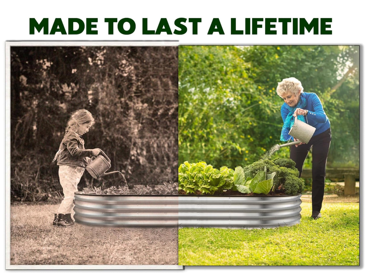 Plant & Plot Galvanized Raised Garden Beds Outdoor // 8×2×1 ft Planter Raised Beds for Gardening, Vegetables, Flowers // Large Metal Garden Box (Silver) // Patented Tool-Free Design