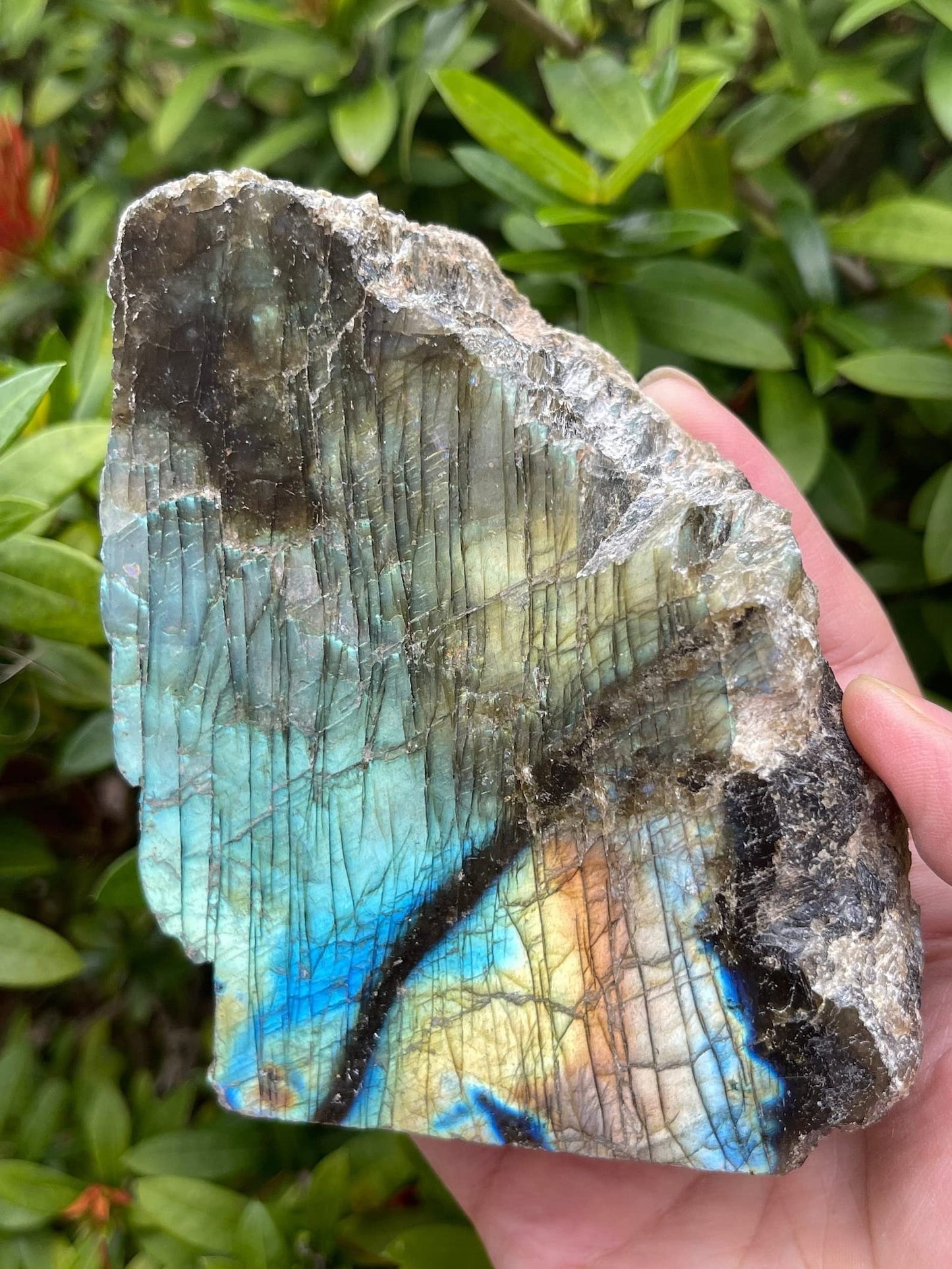 Natural Labradorite Slab, High Flash Free Standing Display Specimens, Raw Labradorite Slab Cut Base (0.5-1 lb)