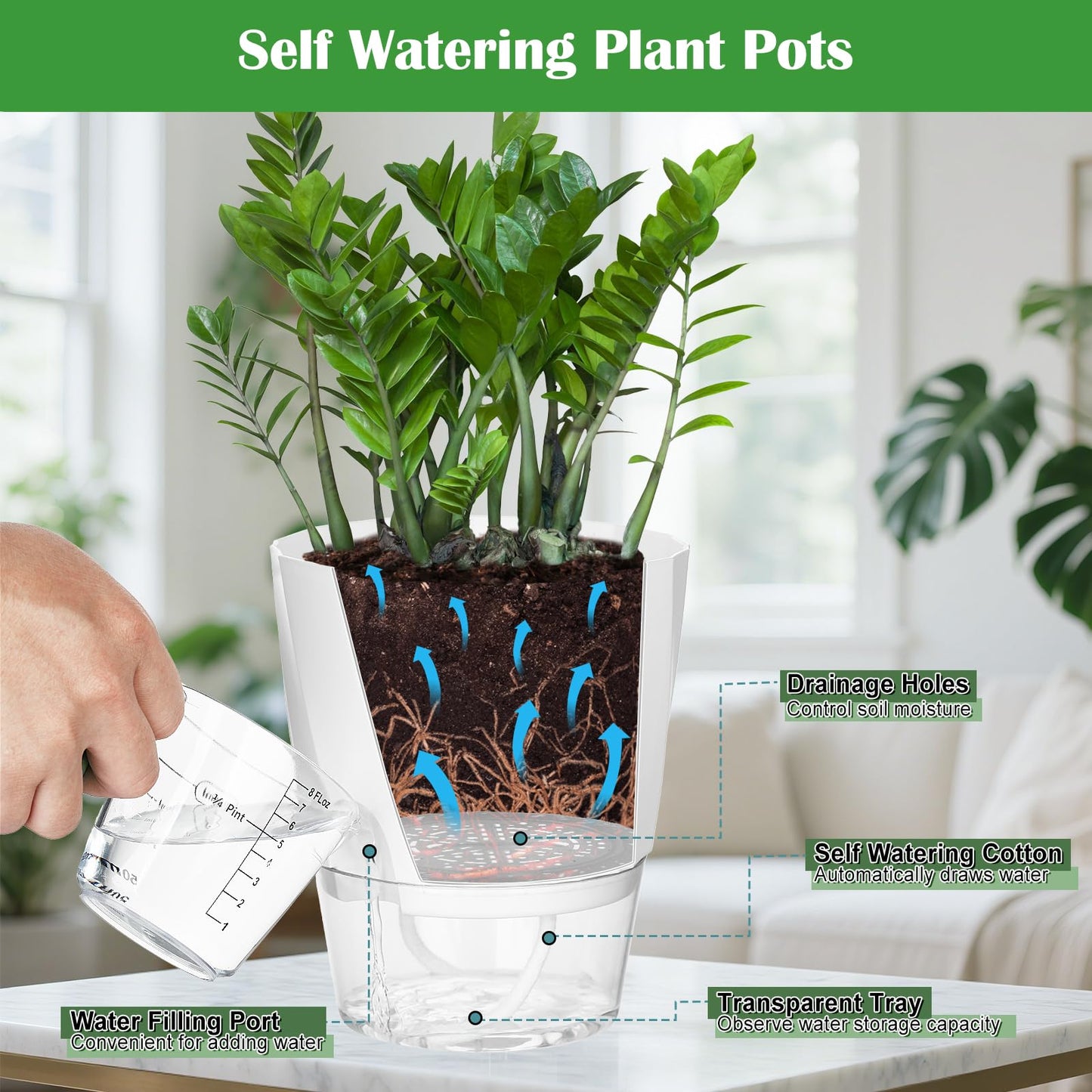 KIMCHOMERSE Self Watering Plant Pots, 6 Inch Plant Pots White, 3 Pack Flowers Pot Indoor Planter Pots with Tray for Spider Plant, Orchid, African Violet