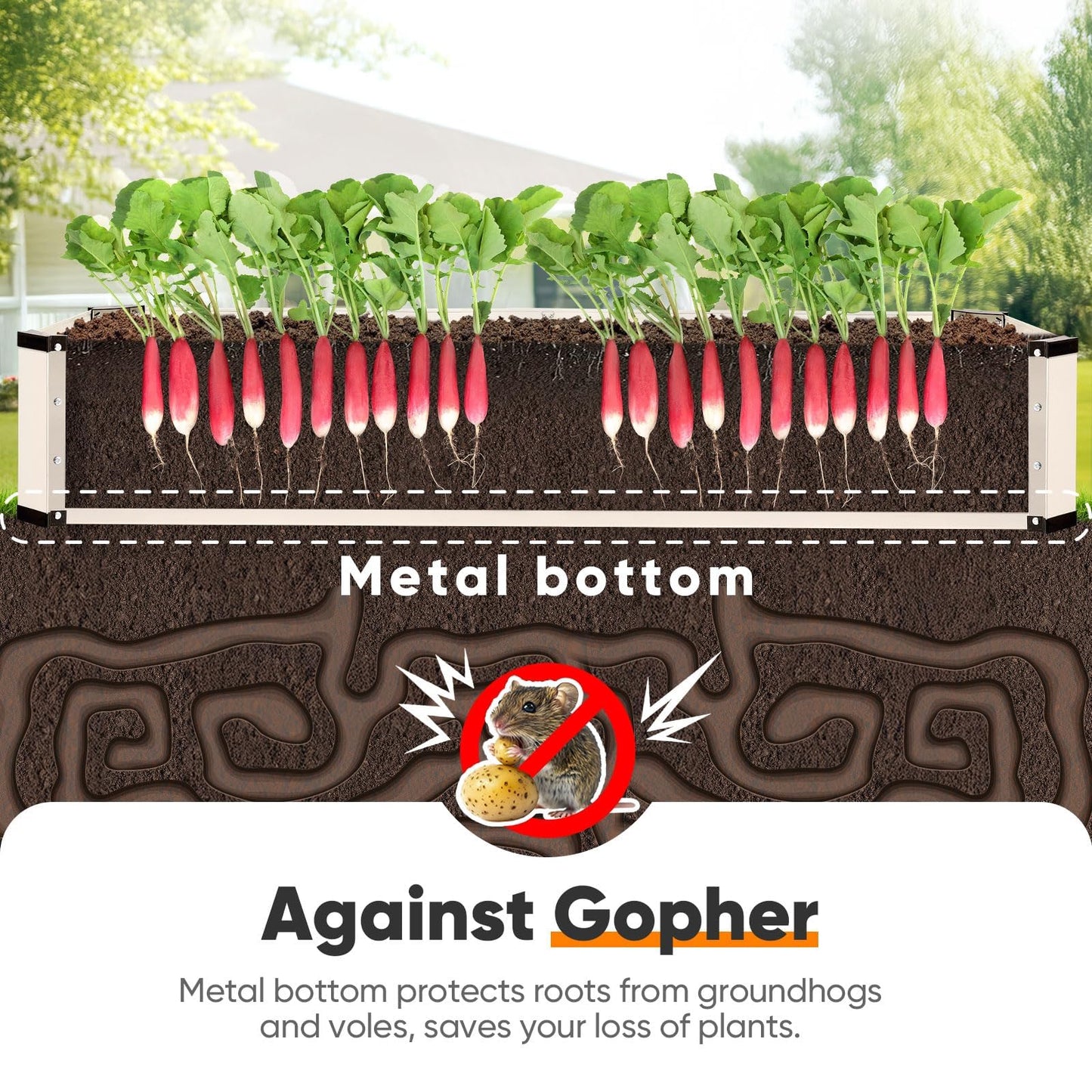 KING BIRD Raised Garden Bed Kit with Bottom 2025 Upgraded Galvanized Planter Garden Box Outdoor & Indoor for Gardening, Vegetables, Flowers, Beige, 70.8x23.6x11.8 in
