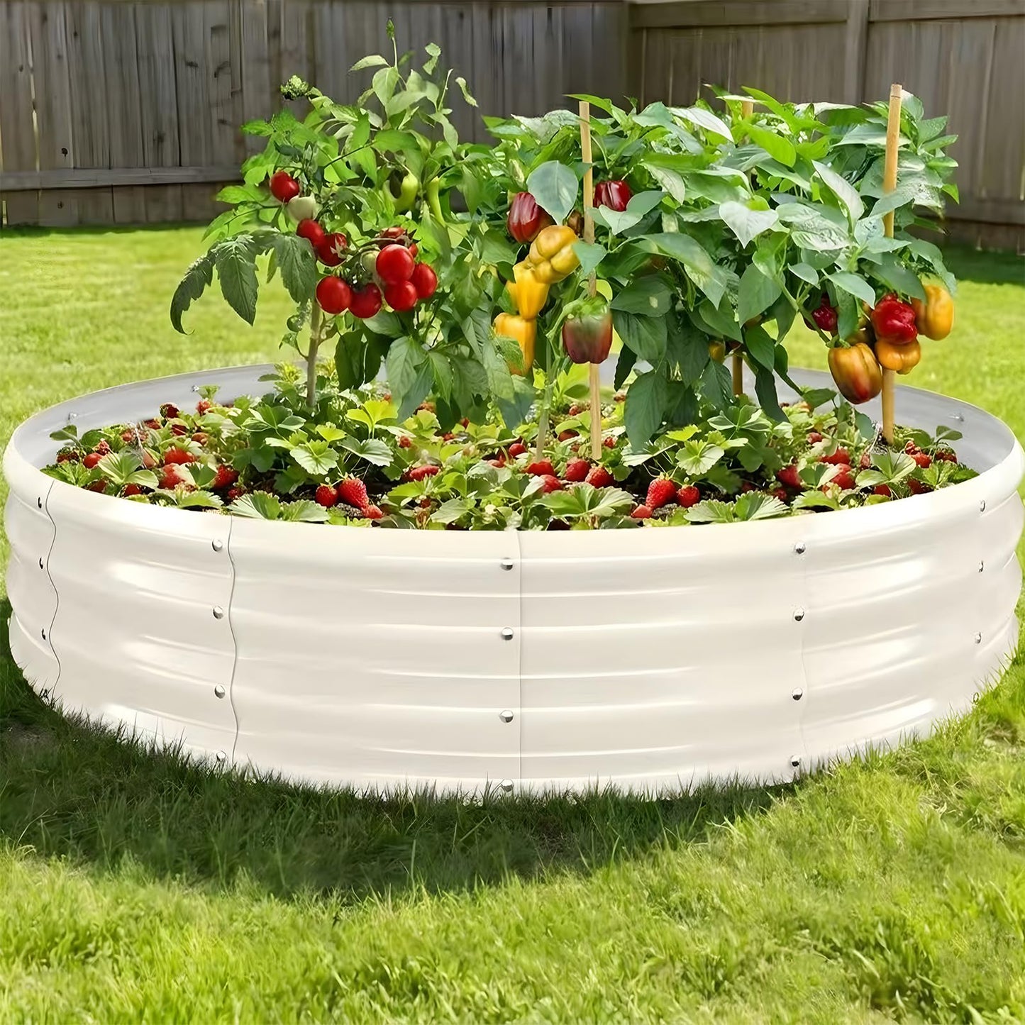 XGMDD Premium Round Raised Garden Bed, 6FT Large Thickened Galvanized Metal Planter Box, 0.7mm Reinforced Rust-Resistant, Easy DIY Assembly Above Ground Gardening Bed for Vegetables, Flowers & Herbs