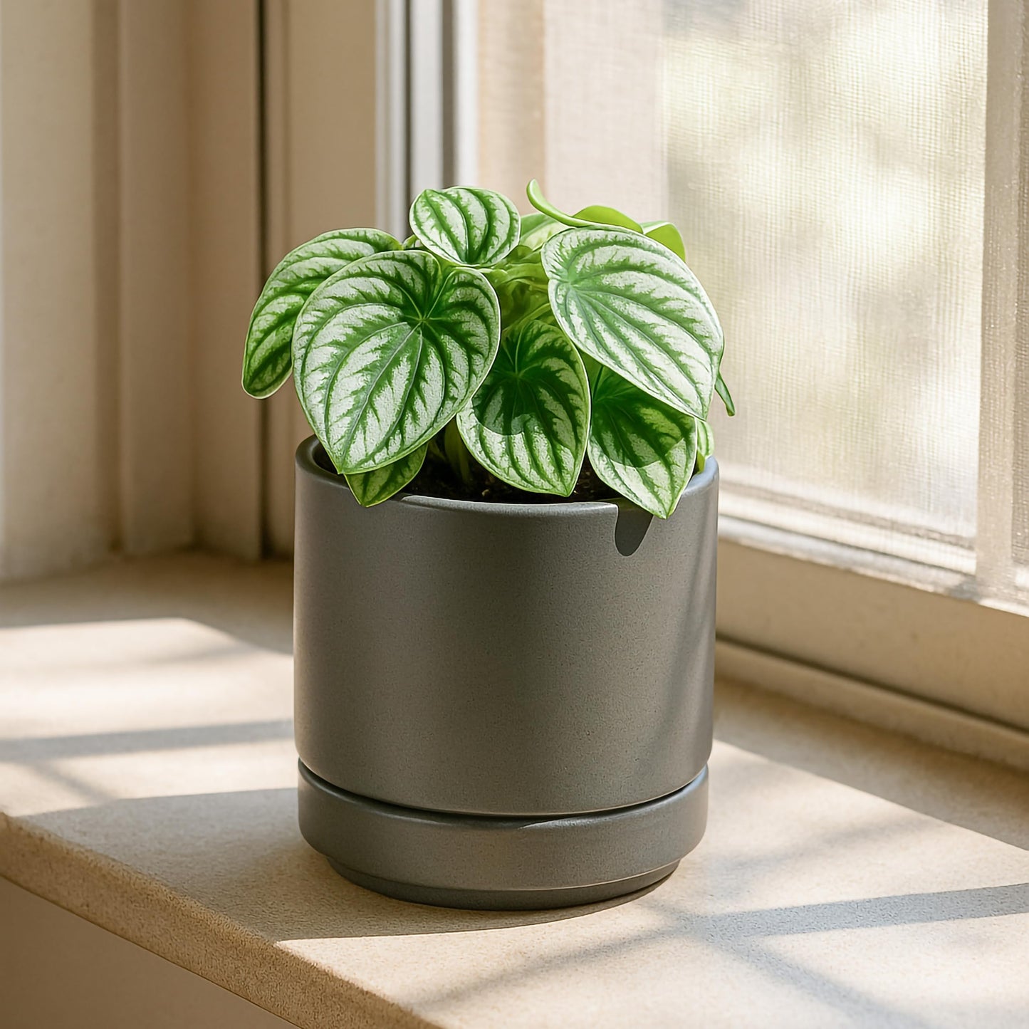 D'vine Dev Set of 4 Small Ceramic Plant Pots, 4.7 Inch Succulent Planter Pot for Plants with Drainage Hole and Saucer, Grey, 94-X-B-3