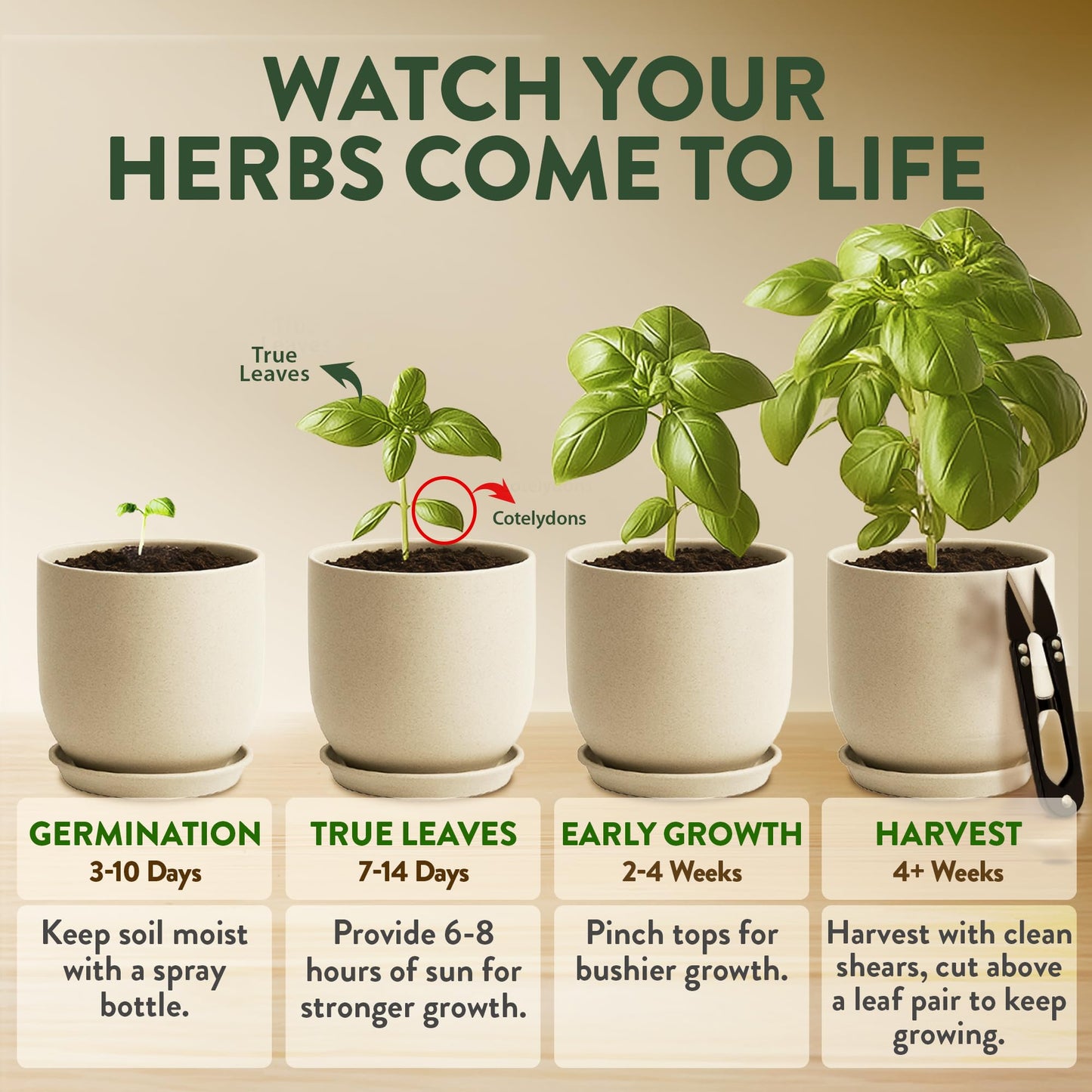 HOME GROWN Indoor Organic Herb Garden Kit, Unique Valentines Day Gift for Adults, Men, & Women,Grow 4 Herb Seeds for Kitchen Window Garden,Beginner DIY Hobby Gardening Gift for Plant Lovers, Mom & Dad