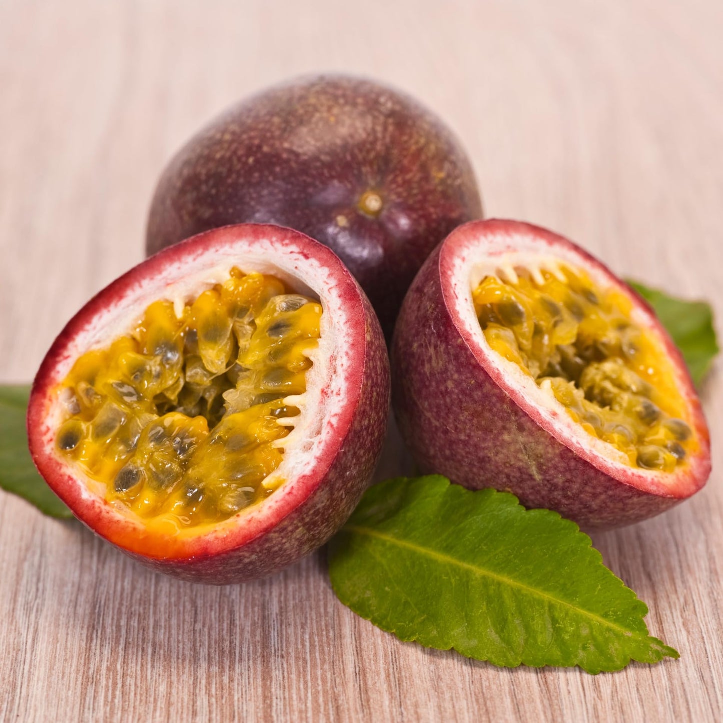 Purple Passion Fruit Plant Live, 5 to 8 inch Tall Passiflora Passion Fruit Plant for Outdoors Garden, Perennial Fruits Climbing Vine Starter Plants Without Pot
