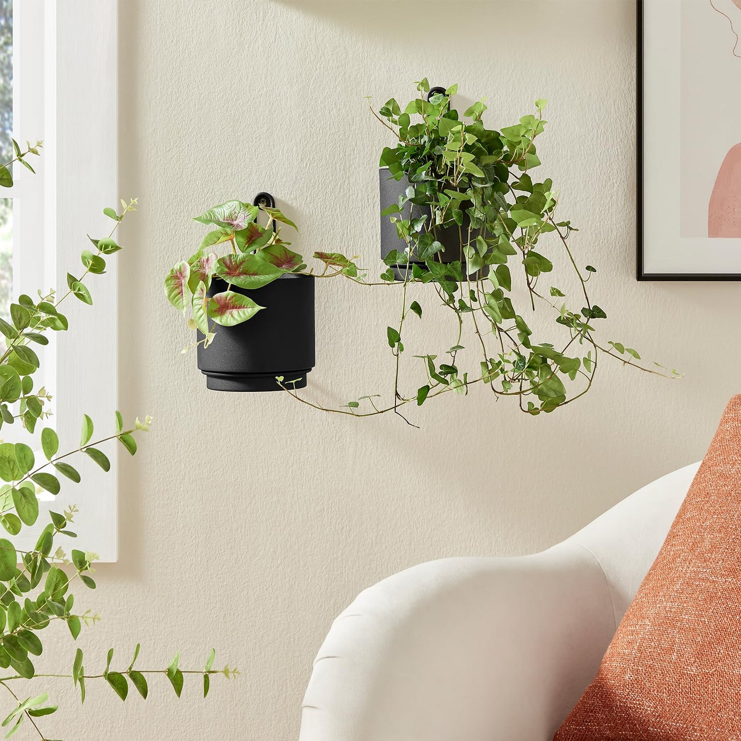CISEANOL 2 Pcs Wall Mounted Hanging Planter Vase for Indoor and Outdoor Plants Modern Metal Wall and Ceiling Planter Minimalist Flower Pot (Black, 5.91 inch)