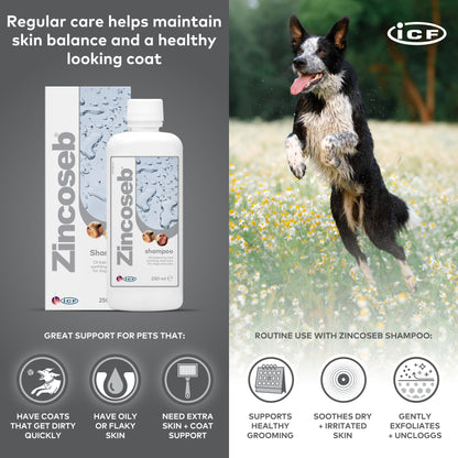 ICF Zincoseb Dog Shampoo for Itchy Skin Relief Anti Itch + Antifungal + Antibacterial for Dogs & Cats Made for Pets with Sensitive Skin 250 ml