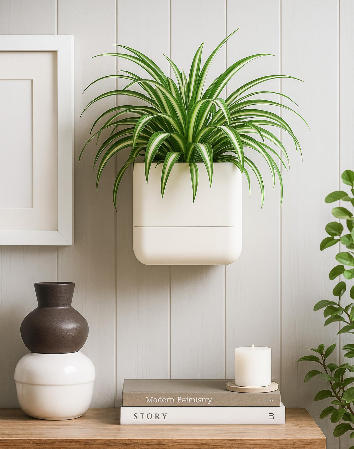 Phoenix Vine 6.5 Inch Wall Mounted Self-Watering Planter Pots for Indoor Houseplants and Herbs | Hanging Planter for Window Sills, Bathroom Walls, Home & Office Décor, Oatmeal, Set of 3, 01-C-G-3