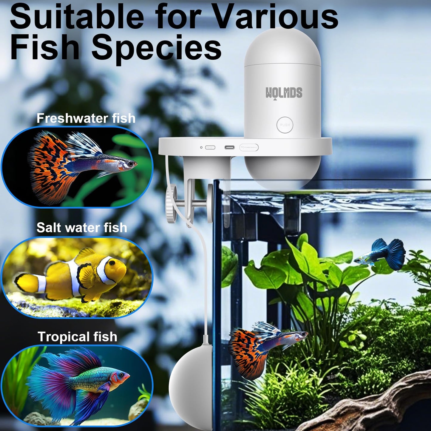 Wolmds WiFi Automatic Fish Feeder with 2.5K Camera, 2.4/5G Smart App Remote Contro & Vacation Feeding Timer, Precision Aquatic Pet Feeder, 230ML Moisture-Proof Fish Food Dispenser for 10+ Gallon Tank