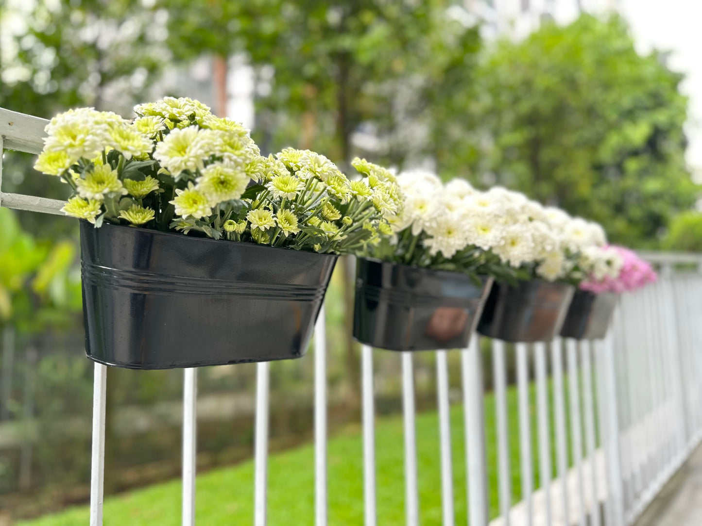 LaLaGreen Outdoor Plants Rail Planter (11.2 Inch, 10 Pack) Black Metal Iron Hanging Flower Pots Deck Railings Fence Buckets Modern Boho Style Wall Mount Window Box Plant Holder Hooks Porch Home Decor