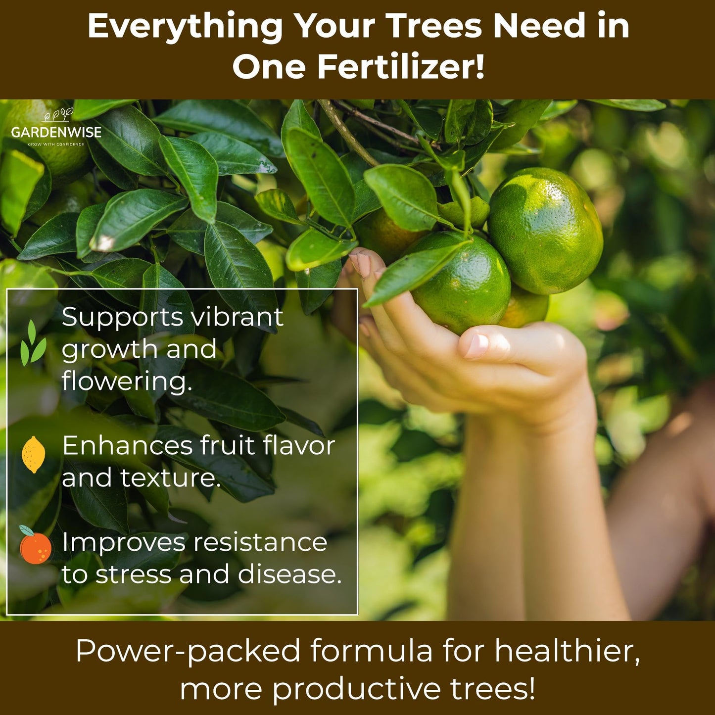 GARDENWISE Professional Citrus Fertilizer + Vital Micronutrients; Perfect Balanced NPK for All Citrus; for Indoor and Outdoor Plants; Orange, Lime, Avocado and Lemon Tree Fertilizer (1/2 Quart)