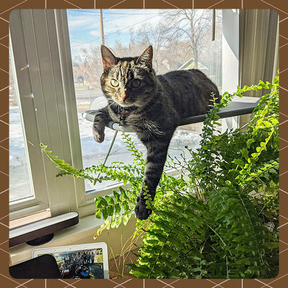 LSAIFATER All Around 360° Sunbath and Lower Support Safety Iron Cat Window Perch, Cat Hammock Window Seat for Any Cats (L, Brown)
