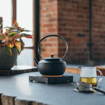 BALMUDA Combo Pack: MoonKettle Black & The Lantern Gray | Electric Kettle with Temp Control & Rechargeable LED Lantern