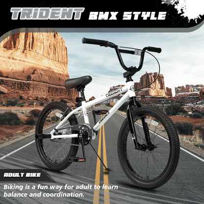 cubsala 20 Inch BMX Race Bike Trident Bicycles Beginner-Level to Advanced Riders with 2 Pegs Trick Cycling and Professional BMX Riding, Color White