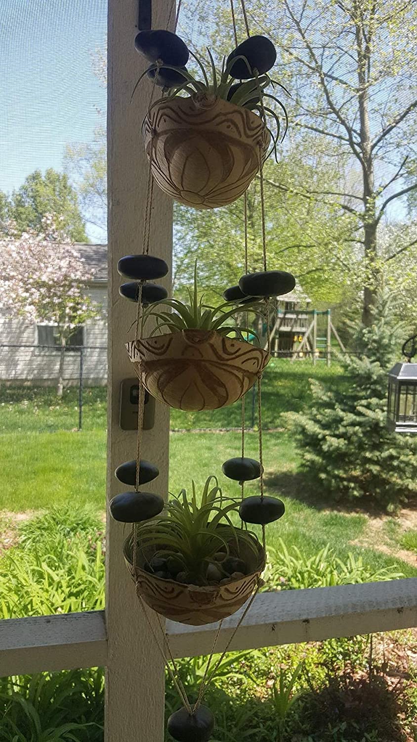 Artificial Air Plants Faux Succulents Plants Unpotted Small Tillandsia Look Real in Flocked Green Premium Crafting DIY Floral Decor for Home Garden Office Party, 3 pcs