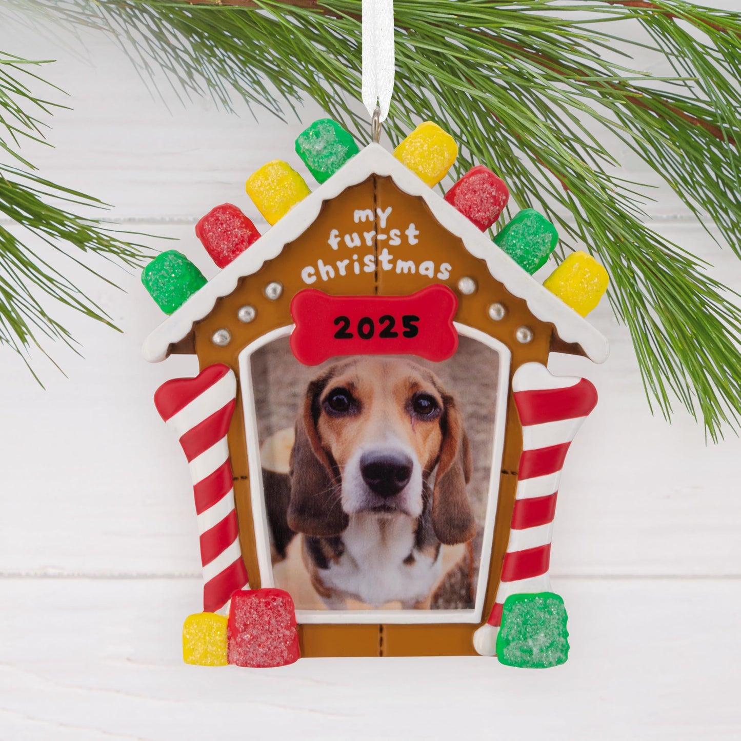 Hallmark My Fur-st Christmas 2025 Photo Frame Christmas Ornament, Pet Gifts