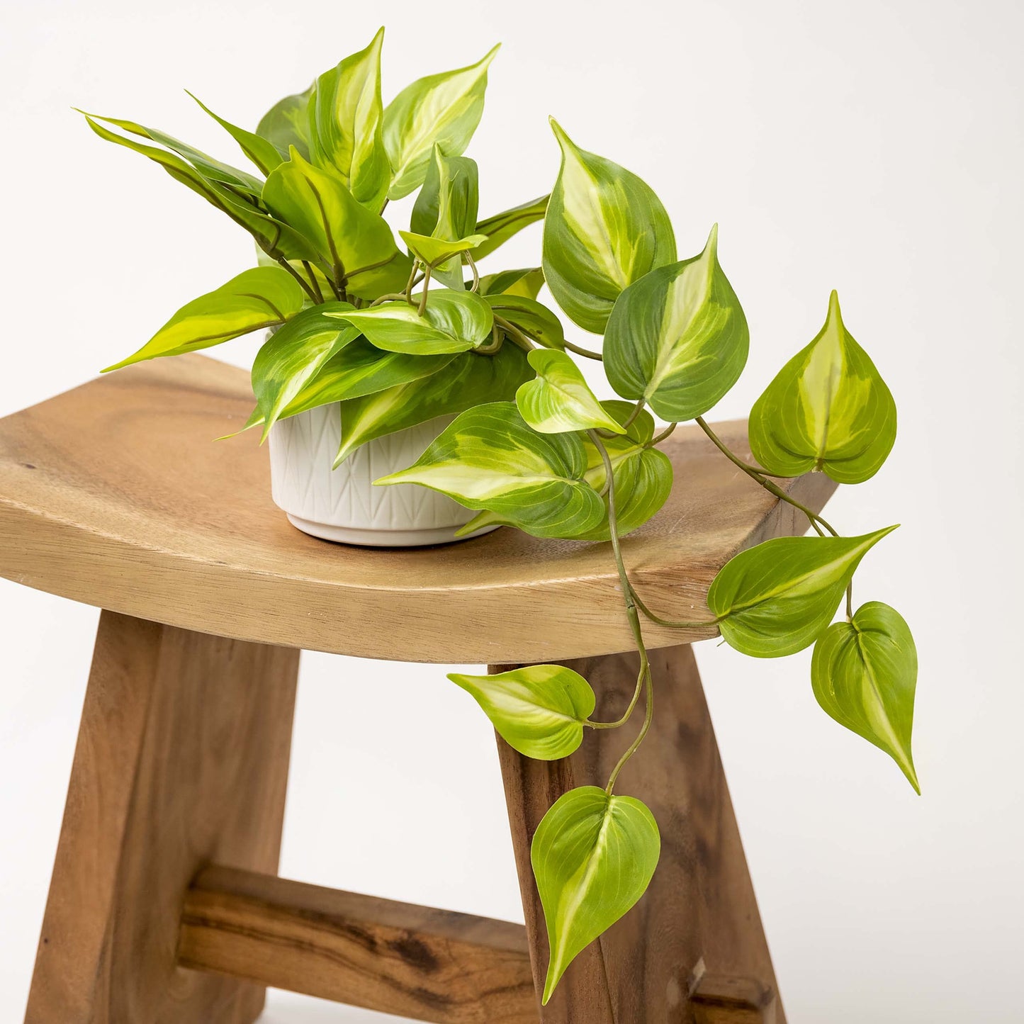 Kurrajong Farmhouse Light Green Fake pothos Plant | Fake Plant for Shelf Decor | Artificial Trailing Ivy Plant with 5" Wide Ceramic Pot | Faux pothos | Feaux Pothos
