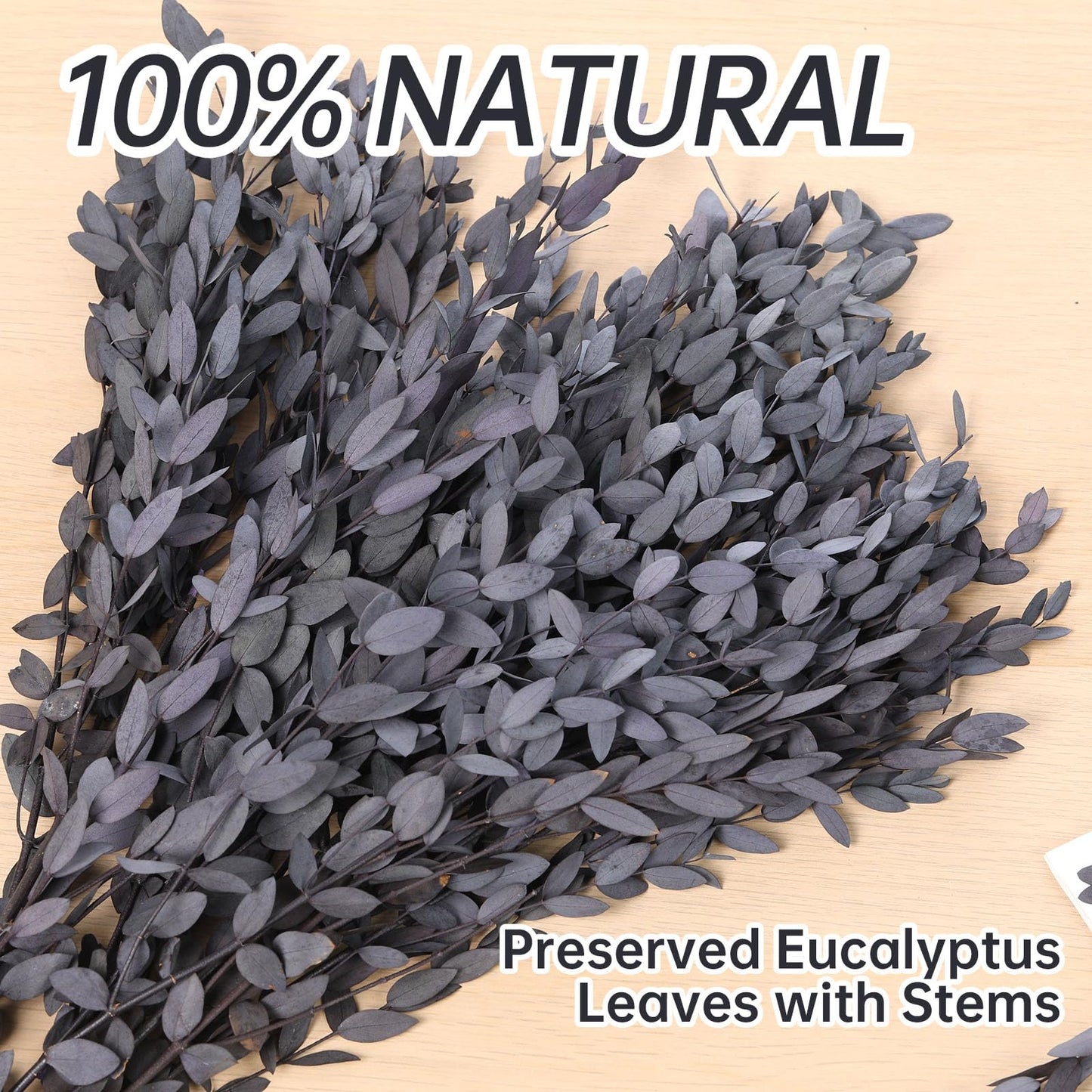Dried Eucalyptus Leaves Real Preserved Stems, Fresh Eucalyptus Garland Branches for Shower, Dried Plant Live Bundle Purple Leaves for Wedding Wreath Party Home Fragrance Vase Décor