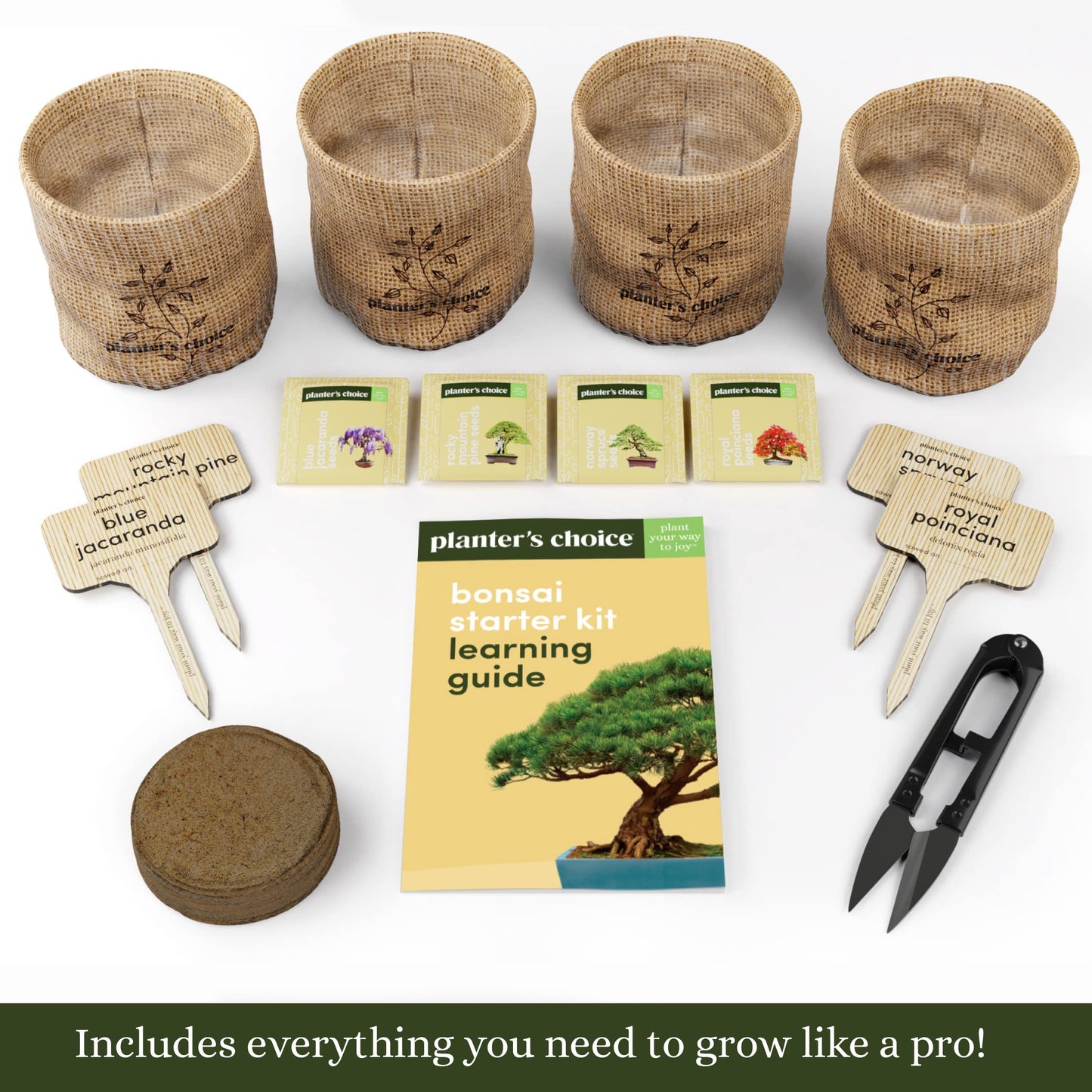 Bonsai Starter Kit - Gardening Mothers Day Gifts for Women & Men - Bonsai Tree Growing Garden Crafts Hobby Kits for Adults, Unique DIY Hobbies for Plant Lovers - Unusual Gifts Ideas Mom, Her, Friend