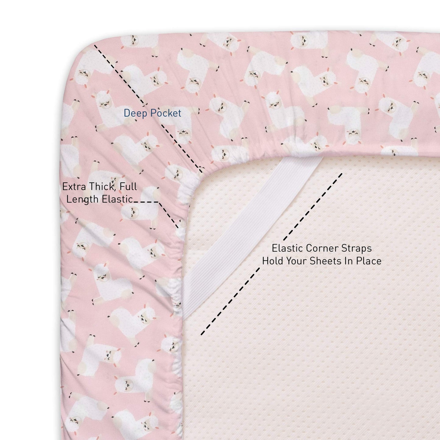 1500 Supreme Kids Bed Sheet Collection - Fun Colorful and Comfortable Boys and Girls Toddler Sheet Sets - Deep Pocket Wrinkle Free Soft and Cozy Bedding - Twin XL, Llamas