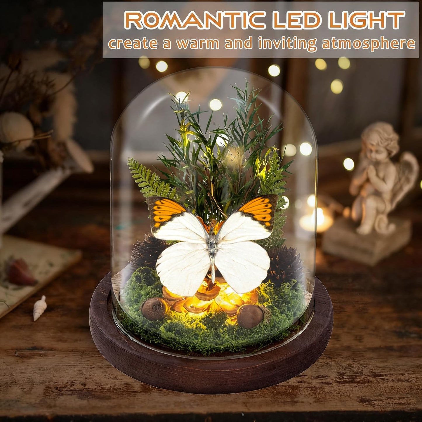 Glass Taxidermy Butterfly Shadow Box, Butterfly Gifts for Women Girls with Glass Cover, Light Up Butterfly Decor for Bedroom Office Living Room Desk (Not Include Battery)
