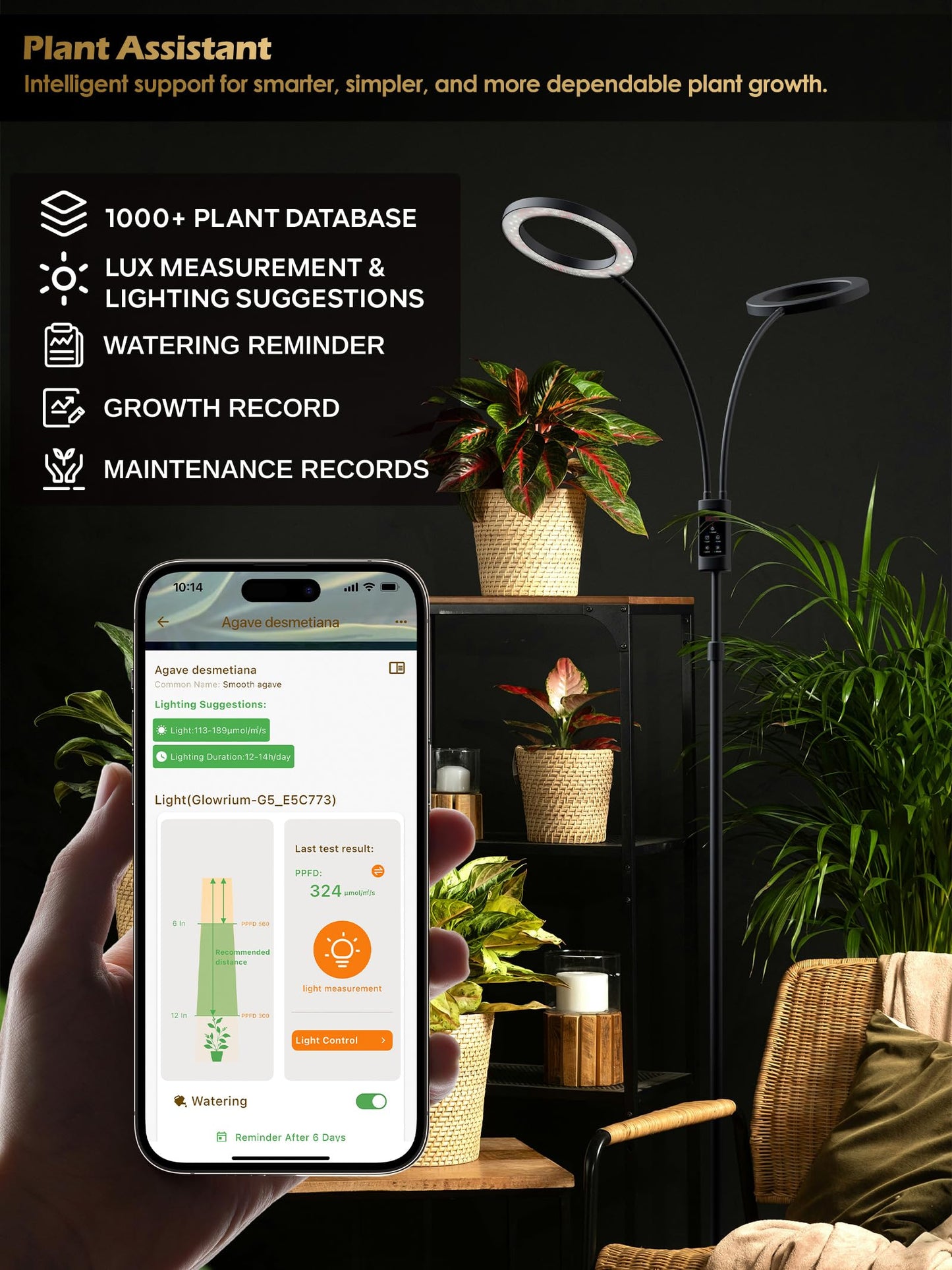 Smart Grow Lights for Indoor Plants, 48W Plant Light with Auto-Timer, Full Spectrum LED Grow Light, Adjustable Height & Stepless Dimming,Plant Assistant Suitable for Most Plants (Black (Dual Heads))