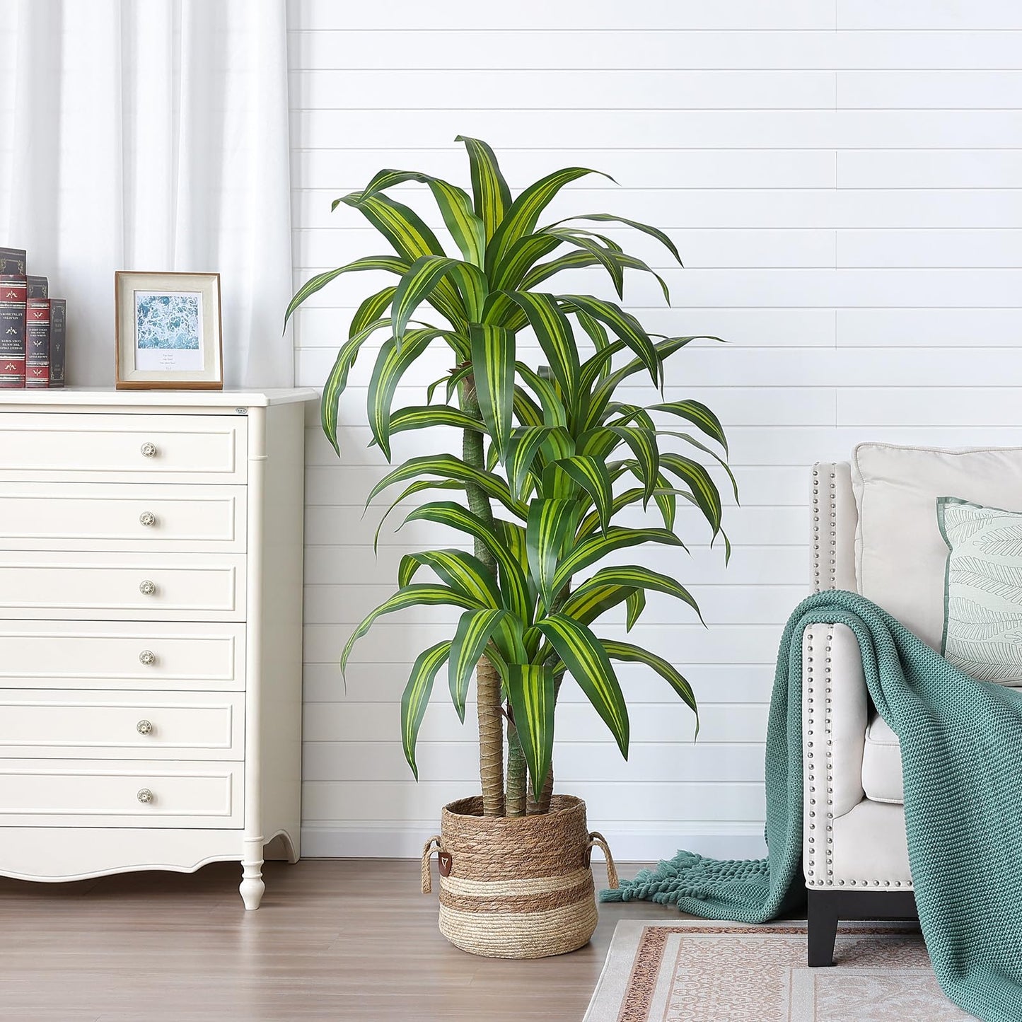 VeriNatural Artificial Dracaena Tree 5FT – Faux Yucca Floor Plant with Silk Leaves & Natural Trunk – Cement-Weighted Pot for Indoor Decor, Office, Living Room, Porch, Entryway, VN225