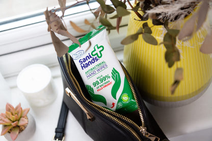 Sani Hands - Anti-bacterial Hand Wipes - Dermatologically Tested, Biodegradable Wet Wipes - 10x12 Wipes (120 Wipes)