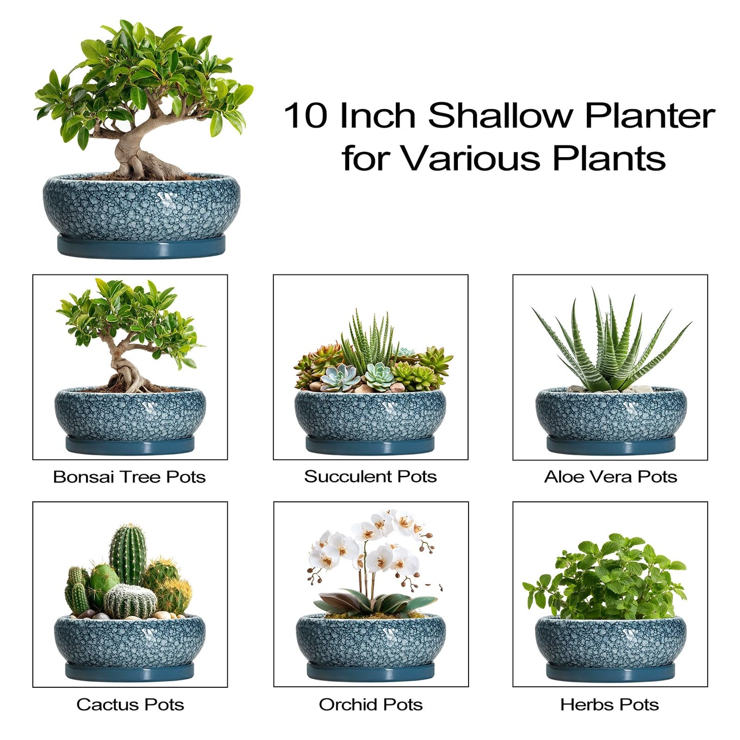 EPFamily Bonsai Pots 10 Inch - Ceramic Succulent Planters with Drainage Hole and Saucer, Succulent Pots for Indoor Outdoor, Shallow Flower Pot, Round Planter, Patio Decor, Housewarming Gifts, Blue