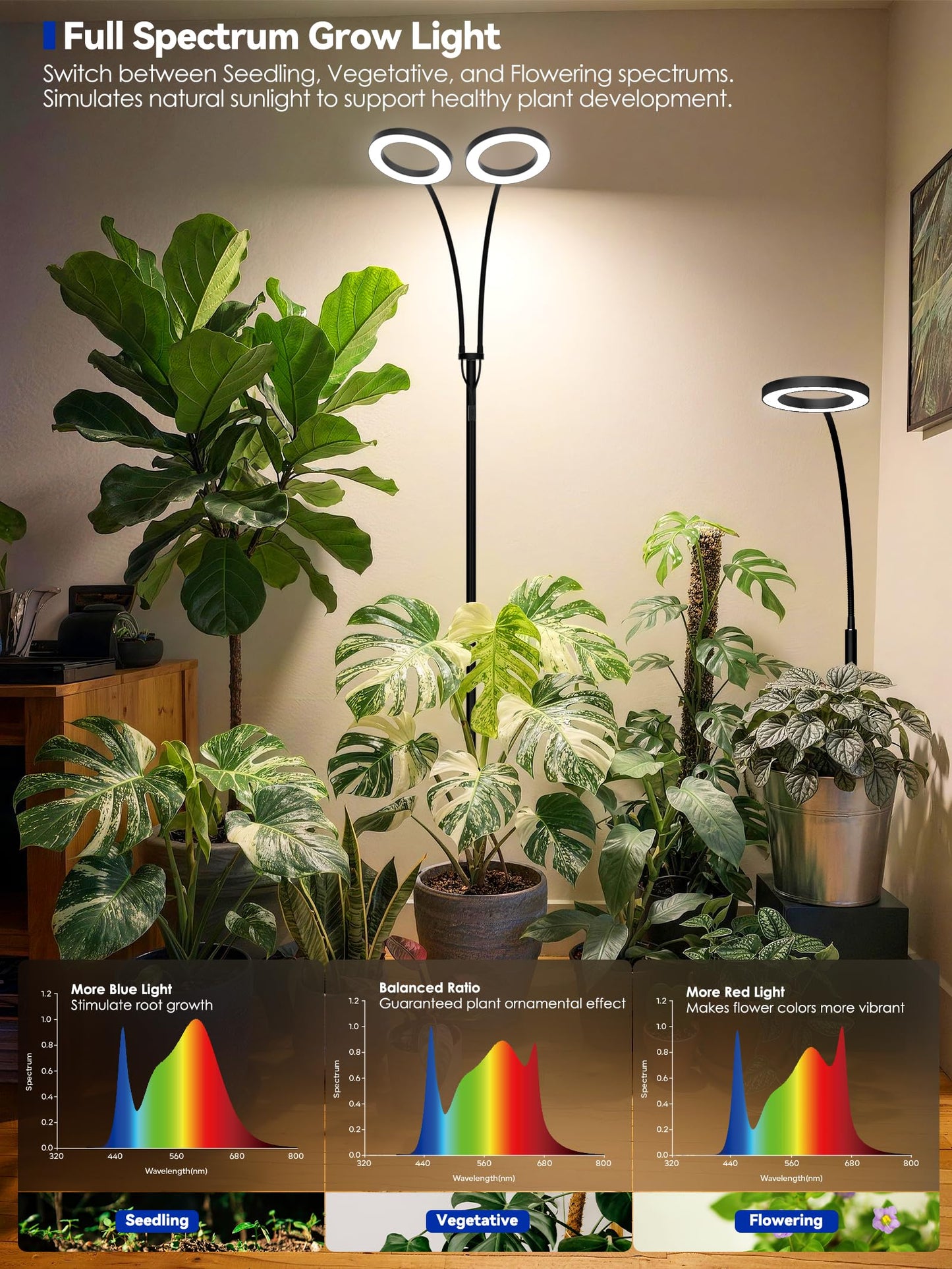 GLOWRIUM Grow Lights for Indoor Plants, Full Spectrum LED Grow Light Floor Lamp with Stand Adjustable Height and Angle, Black Plant Light with 3/9/12H Grow Light Timer (Black, 20W)