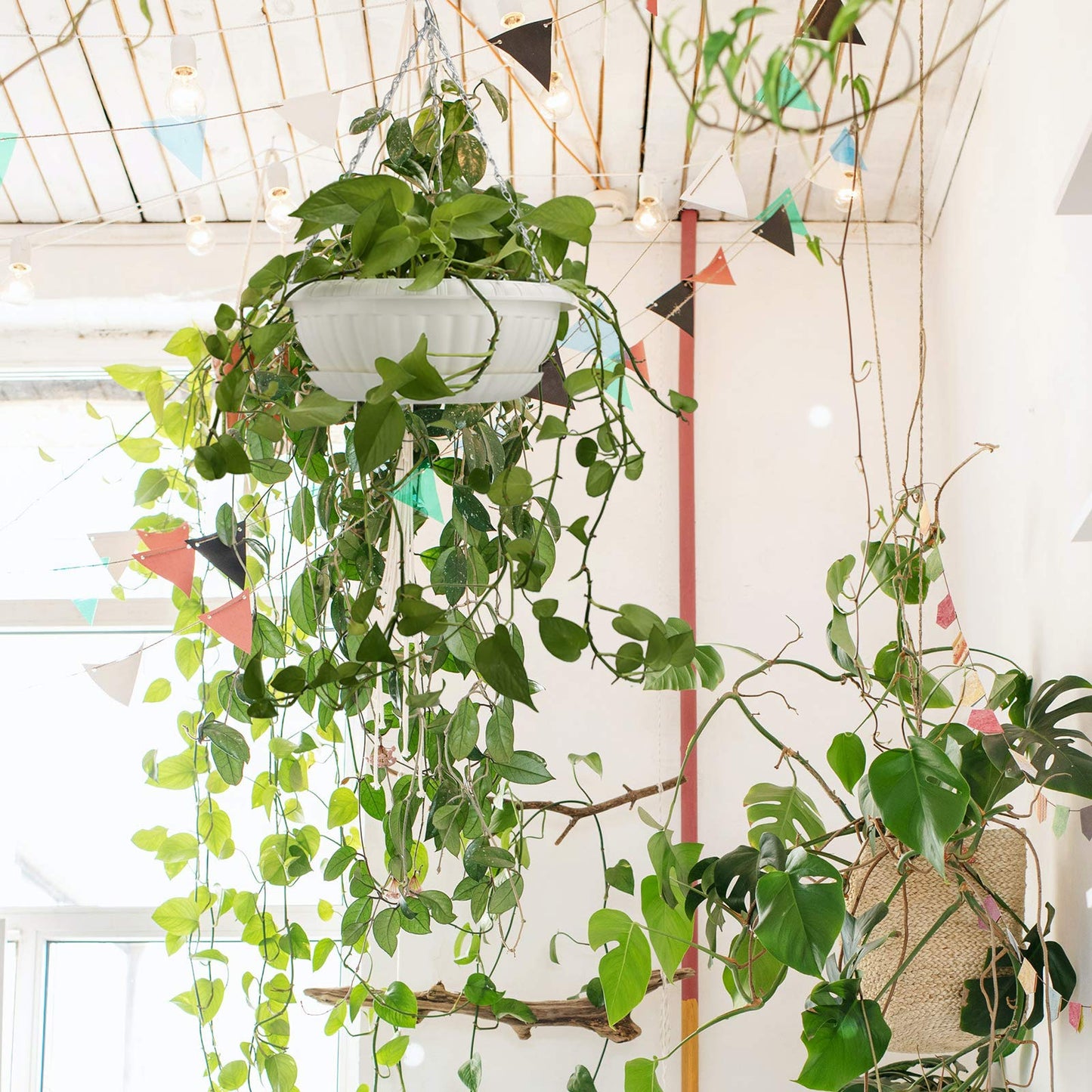 summer flower 12.59" Large Hanging Planters with Drainage Hole&Tray, Hanging Flower Pots Plastic Plant Hanger Holders Hanging Basket for Indoor Outdoor Home Garden Herb Succulent (Pack 3)