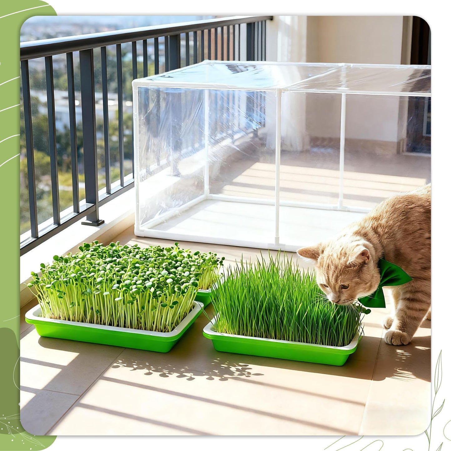 U0U Mini Greenhouse for Indoor Plants,Portable Small Greenhouse with Plastic Film,Indoor Greenhouses for Small Plant Seed Starter Tray, Sprouting