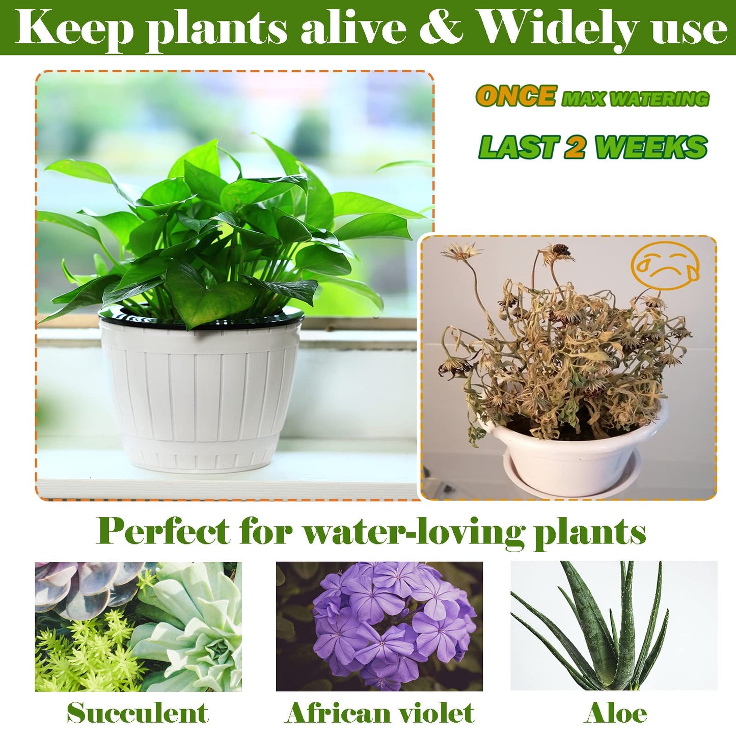 3 Packs 6.5 Inches Self Watering Pots for Indoor Plants Large Plastic African Violet Pots Home Flower Pot Planters for Devil's Ivy, Spider Plant, White