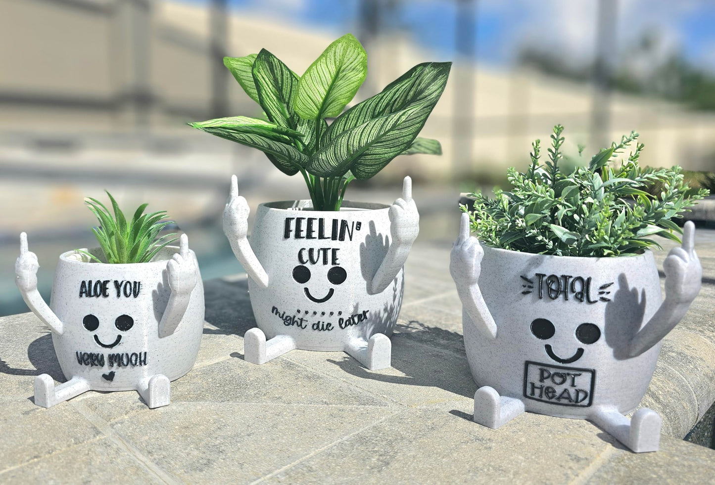 Funny Face Head Planter Pot, Unique Small Succulent Flower Pot, Cute Cactus Planter, Indoor Outdoor Home Decor, Office Desk Plant Pot, Novelty Gardening Gift Set (Please Don't Die, Medium)