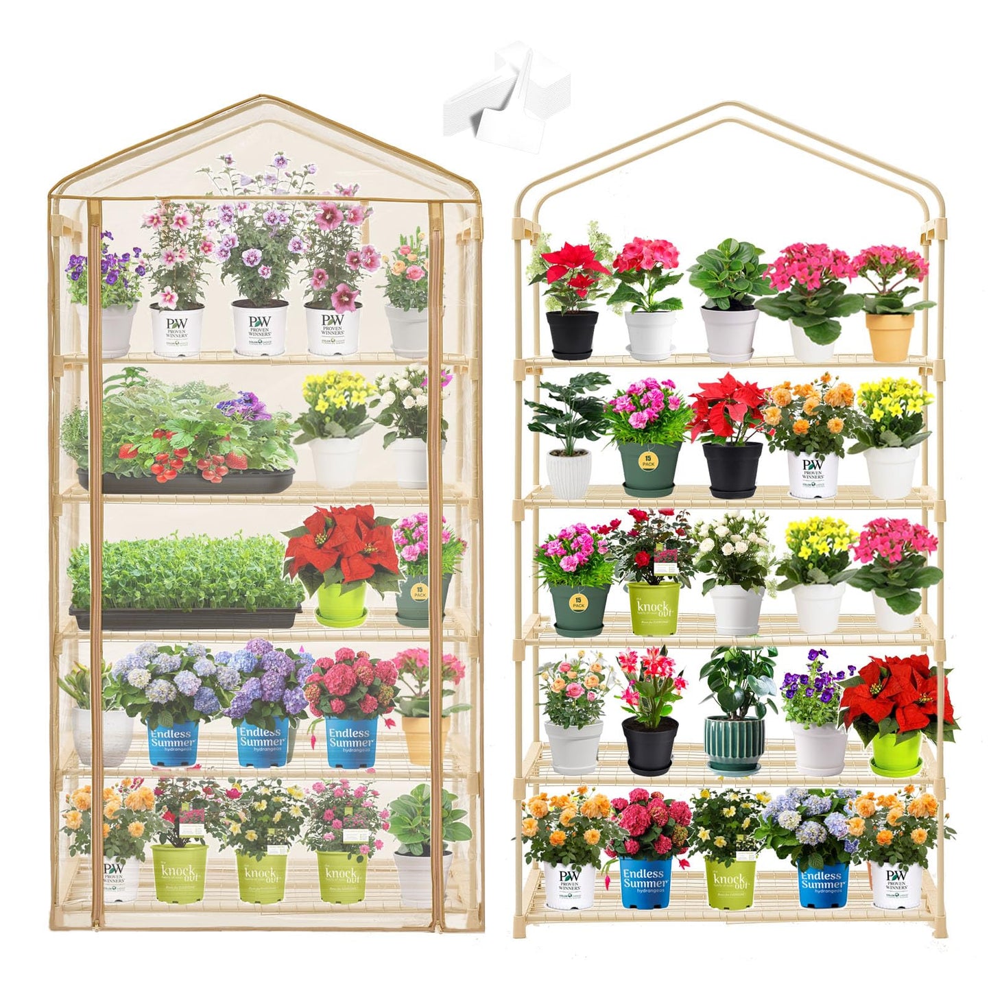 Purlyu Garden 50% Extra Wide Mini Greenhouse 5 Tier Portable Plant Green House 40 in Wide -Sturdy Gardening Shelves with PE Cover & Roll-Up Zipper Door-19″W. x 40″L. x63″H(PLGH1005OWP)