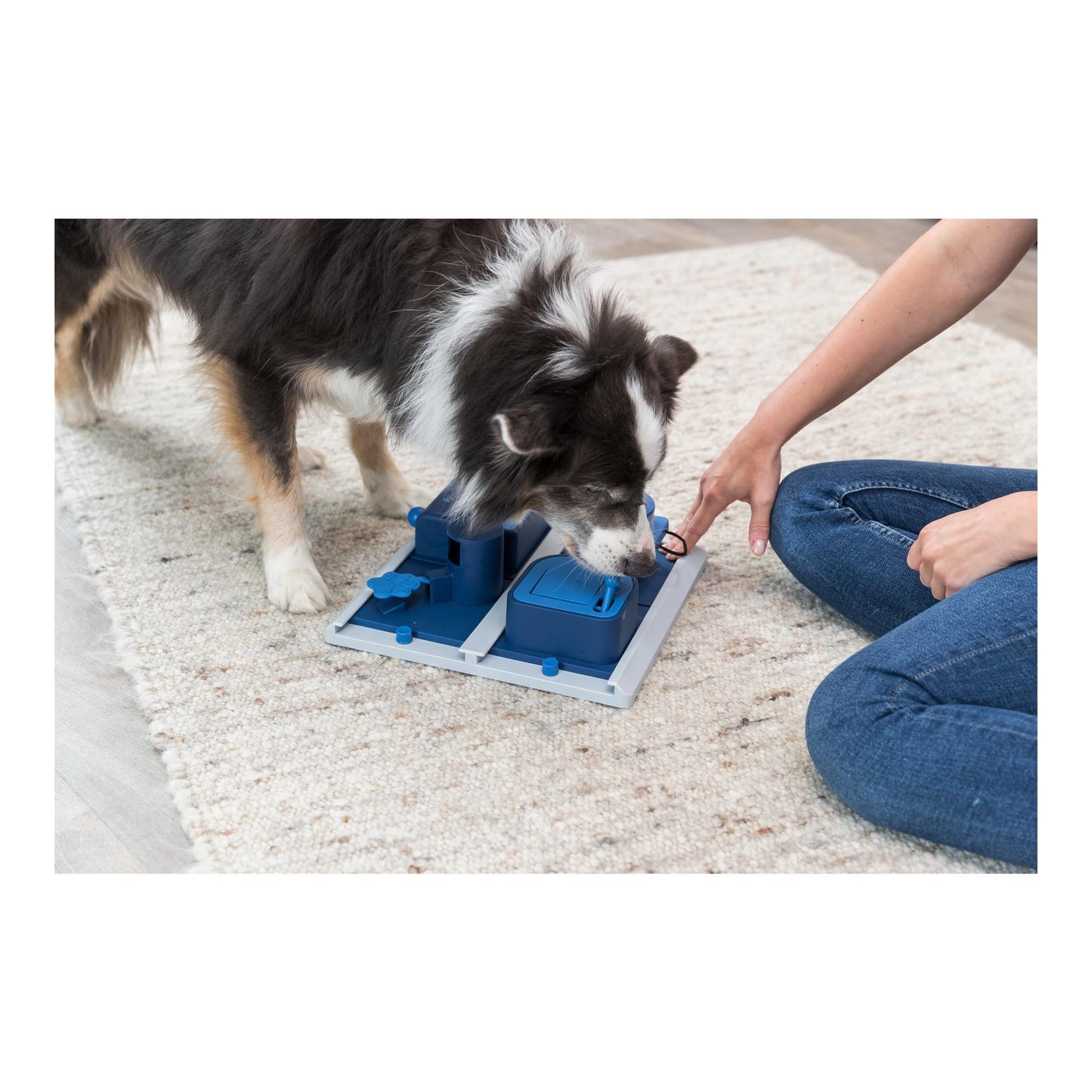 TRIXIE Poker Box 2 Dog Enrichment Toy, Advanced Level 3 Dog Puzzle, Interactive Treat Game