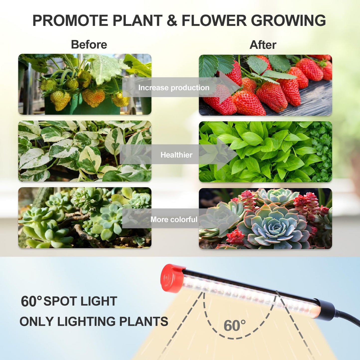 FECiDA 2026 5Head Table Top Grow Lights for Seed Starting, Indoor Plants, Bonsai, 45 Watt Power Draw, NO Need Adapter, 4/8/12/16/20H Timer, 16"-24" Height Adjustable, Big Coverage