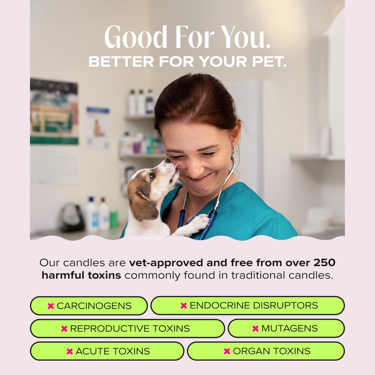 Companion Candles I Love You, I Love You! Pet-Friendly Scented Candle – Sandalwood & Amber Fragrance - Coconut Soy Wax Candle with Wooden Wick, Approx. 50-Hour Burn Time, Made in USA, 11.8 oz