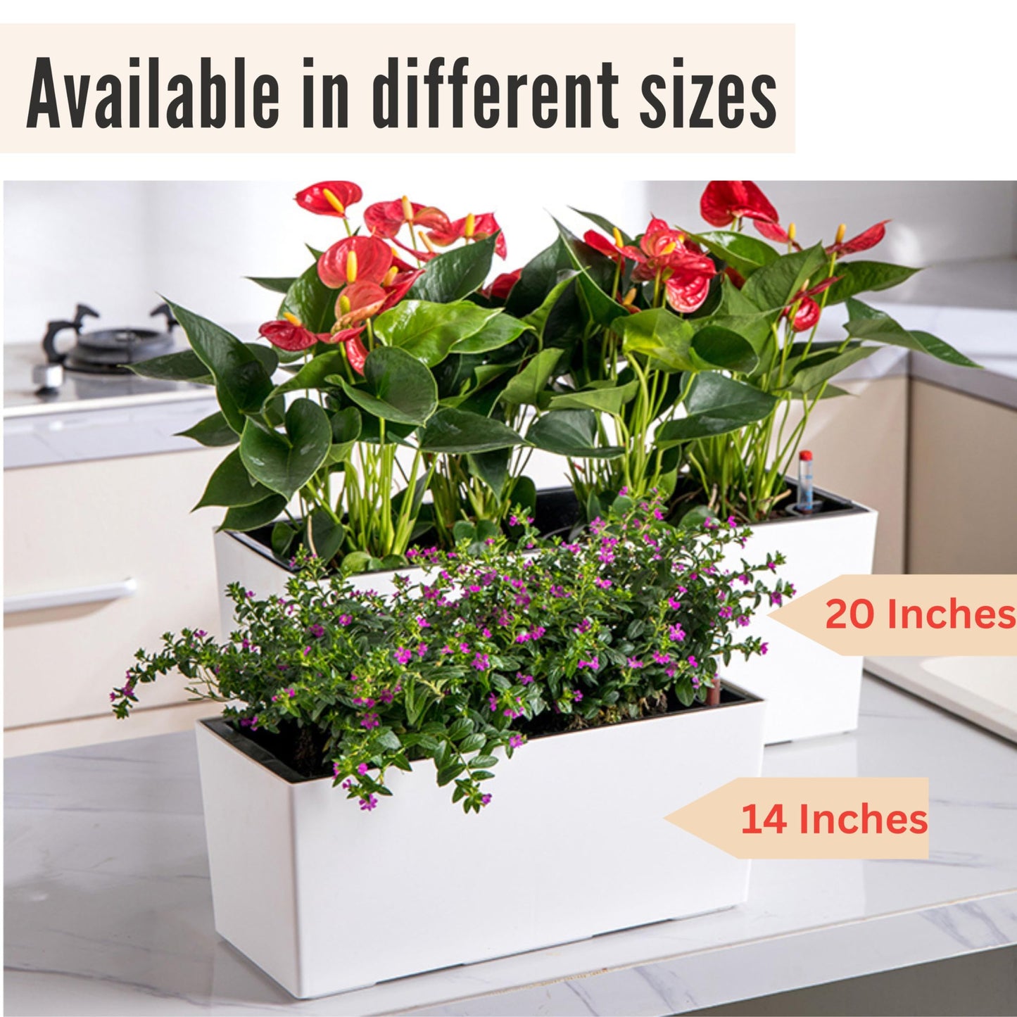 LaLaGreen Wall Planter for Outdoor (2 Pack, 14 Inch) Wall Mounted Self Watering System White Flower Box with Bracket, Window Wall Hanging Rectangular Plant Pot Container Indoor Modern Herb Kitchen