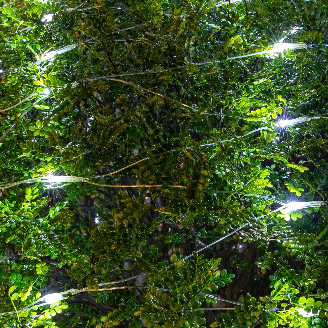 AWQ 200 LED 9.8ft x 6.6ft String Lights Net Mesh Lights Christmas Net Lights 8 Modes for Christmas Wedding Party Home Garden Lawn Bushes Indoor Outdoor Decor (9.8ft x 6.6ft, White)