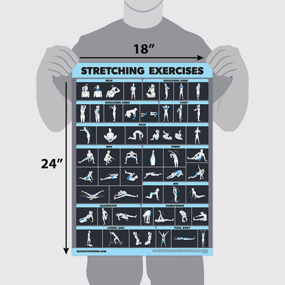 2 Pack Stretching Exercises and Muscular System Anatomy Poster Set - Laminated 2 Chart Set - Stretching Workout Routine & Muscle Anatomy Diagram [DARK] (LAMINATED, 18” x 24”)