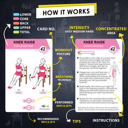 Flexies Chair Yoga Workout Cards – 58 Seated Exercise Cards for Beginners & Seniors | 28 Day Chair Workout Chart for Weight Loss, Strength, Flexibility & Balance