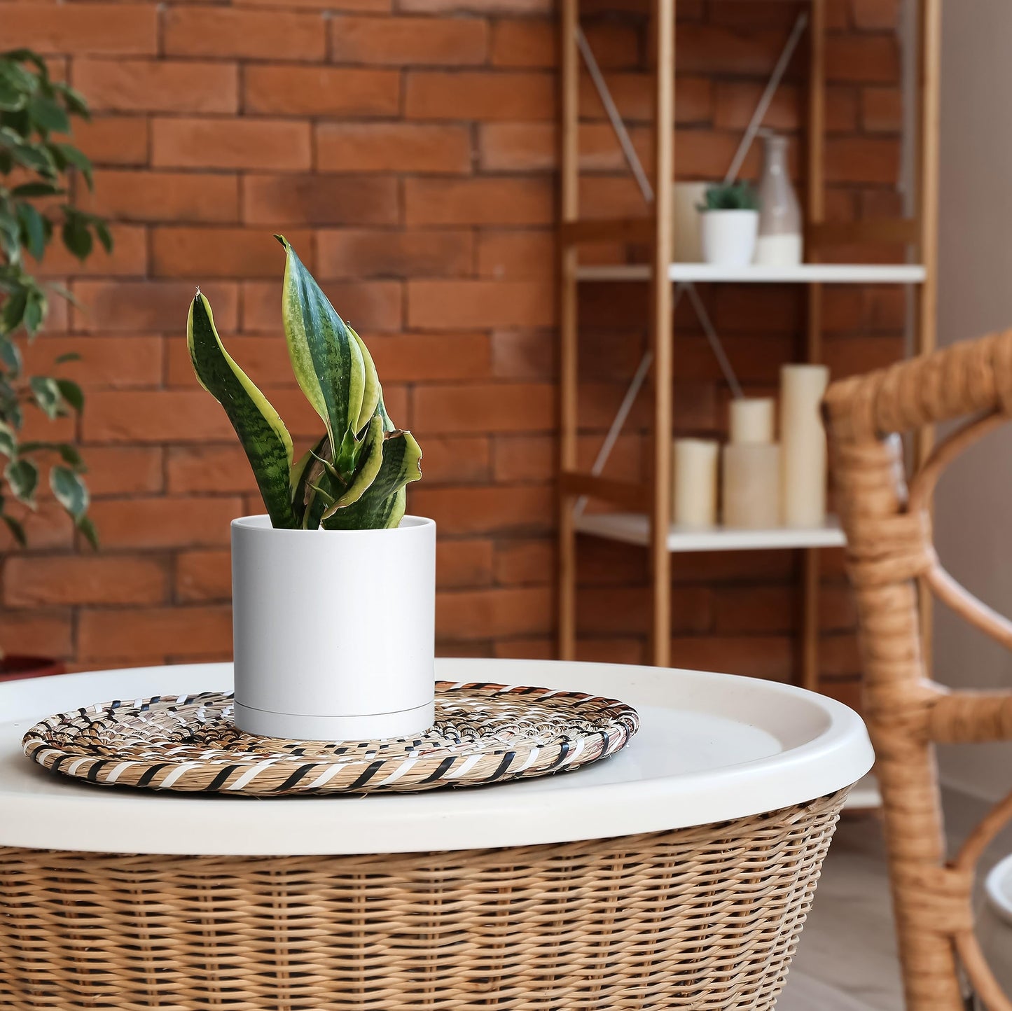 D'vine Dev 2 Pack 6 Inch Modern Plastic Plant Pots, Small Garden Planters for Plant with Drainage Holes and Saucers, White Color, 74-Z-J-1