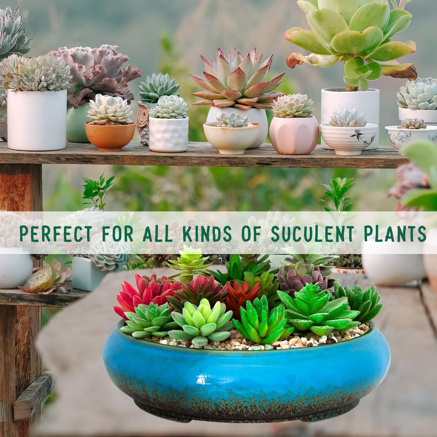 ARTKETTY Succulent Pots, Ceramic Bonsai Pots with Drainage, Large Shallow Succulent Planters for Indoor Outdoor Plants, Round Glazed Cactus Flower Plant Container Bowl
