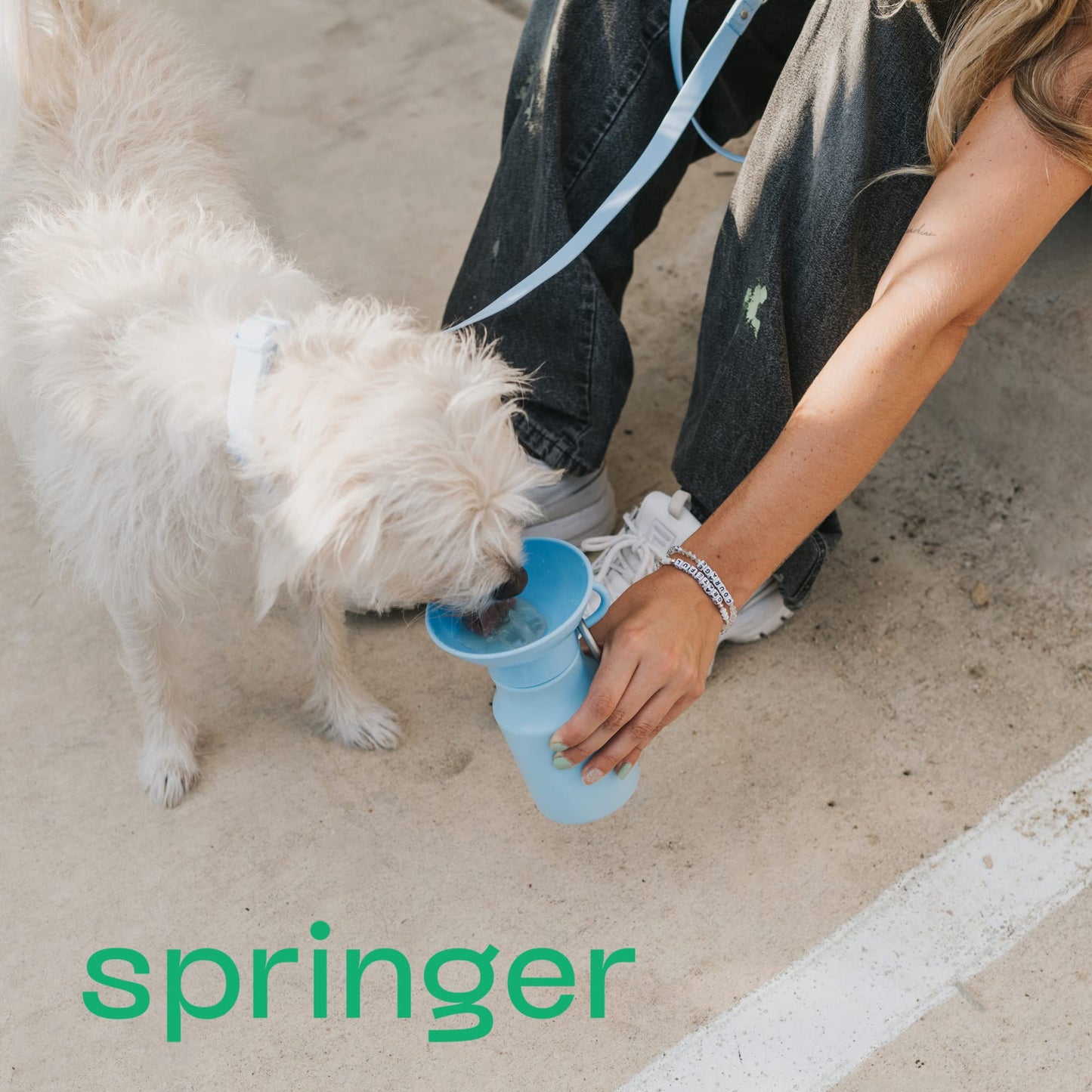 Springer Dog Water Bottle | Portable Travel Water Bottle Dispenser for Dogs | Dog Gift Seen on Oprah's Favorite Things, Shark Tank | Leak-Proof Bottles Fill Bowl with Water | BPA-Free 15oz Sky Blue